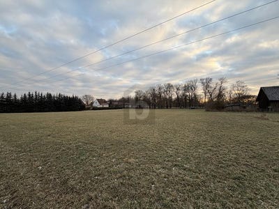 /international/de/gieshof-zelliner-loose-brandenburg-310108483081/