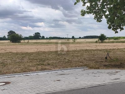 /international/de/dreiheide-saxony-310109239201/?lang=th
