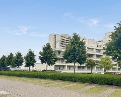 /international/de/sierksdorf-schleswig-holstein-310108921041/