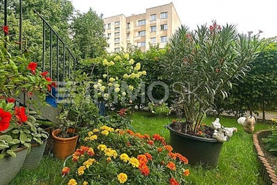 /international/de/berlin-berlin-310101173019/?lang=de