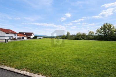 /international/de/seybothenreuth-bavaria-310107899673/