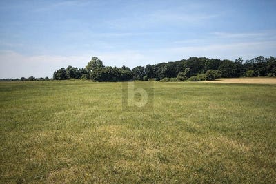 /international/de/dreschvitz-mecklenburg-vorpommern-310108260711/