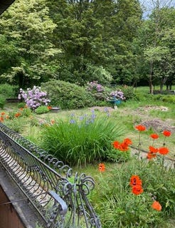 /international/de/schwaderbachstrasse-10-schwaderbachstrasse-10-kaltenborn-herschbach-eifel-volcanic-national-park-310101378297/