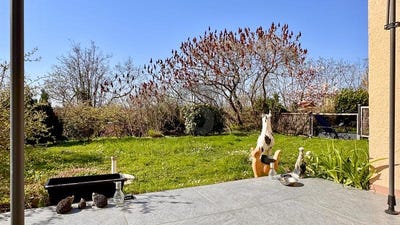 /international/de/bad-bellingen-baden-wurttemberg-310108484382/