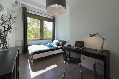 /international/de/fritz-erler-strasse-munich-bavaria-310107736820/