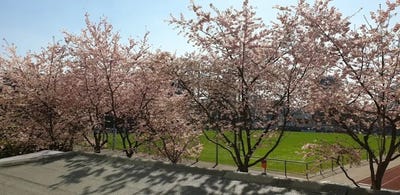 /international/de/rossstrasse-dusseldorf-north-rhine-westphalia-310098551422/