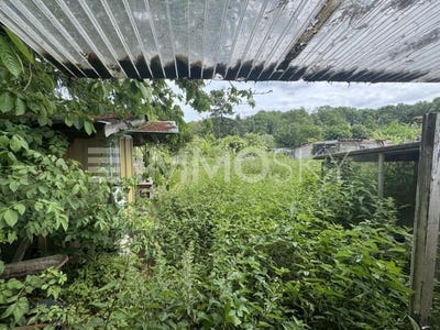 /international/de/bedburg-north-rhine-westphalia-310101443525/