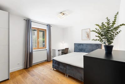 /international/de/almbachstrasse-munich-bavaria-310101484897/