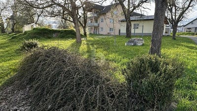 /international/de/wutach-baden-wurttemberg-310108400957/