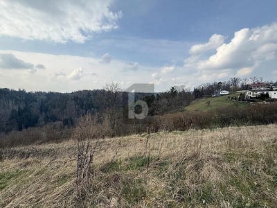 /international/de/wildberg-baden-wurttemberg-310108481907/