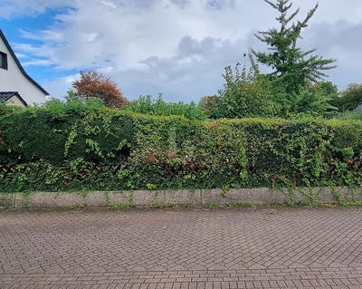 /international/de/essen-north-rhine-westphalia-310108004528/