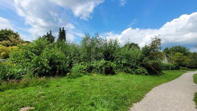 /international/de/ritterhude-lower-saxony-310101033524/?lang=id