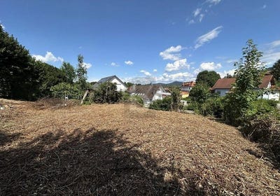 /international/de/friesenheim-baden-wurttemberg-310108938917/