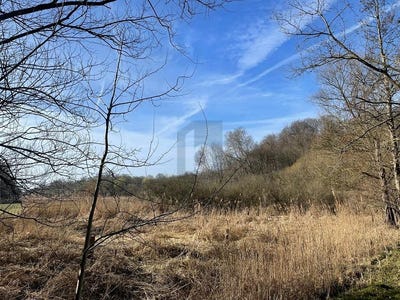 /international/de/krummesse-schleswig-holstein-310107970677/