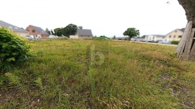 /international/de/schmalfeld-schleswig-holstein-310101470848/?lang=en