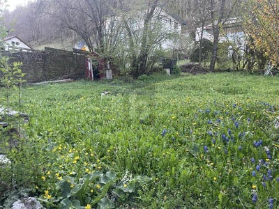 /international/de/burladingen-baden-wurttemberg-310108428784/