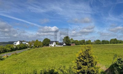 /international/de/winterspelt-rhineland-palatinate-310108554908/