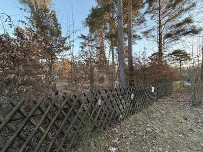 /international/de/wandlitz-brandenburg-310108428912/
