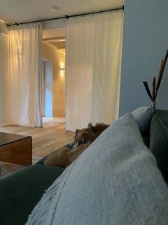 /international/de/grazer-strasse-25a-offenbach-am-main-hesse-120094148102/