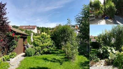 /international/de/hauffstrasse-37-schonaich-baden-wurttemberg-120092695298/