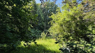 /international/de/hamburg-farmsen-berne-hamburg-310101157535/