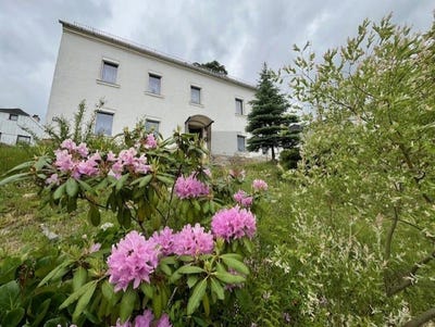 /international/de/gefell-thuringia-310108483649/