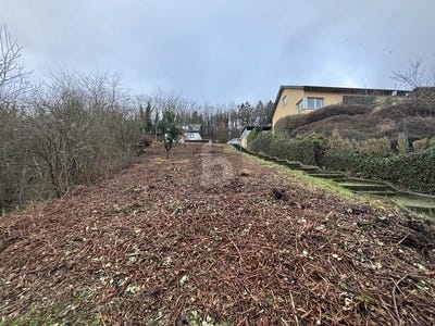 /international/de/lieser-rhineland-palatinate-310108101831/