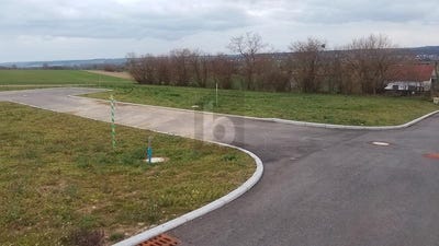 /international/de/scheer-baden-wurttemberg-310108455340/