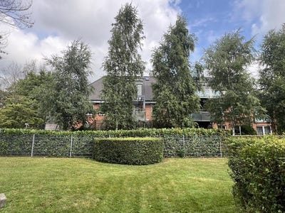 /international/de/husum-schleswig-holstein-310102585911/
