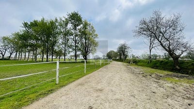 /international/de/oldersbek-schleswig-holstein-310108420933/