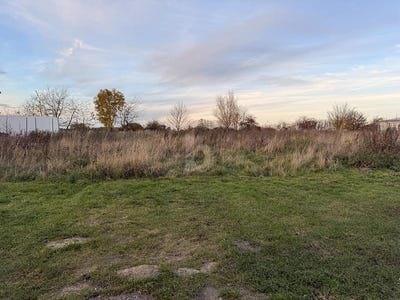 /international/de/langenberg-north-rhine-westphalia-310107973817/