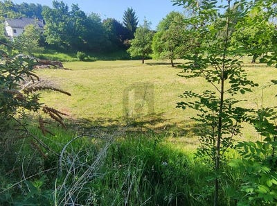 /international/de/balzheim-baden-wurttemberg-310109072121/