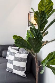 /international/de/sonnenstrasse-dusseldorf-north-rhine-westphalia-310108245270/