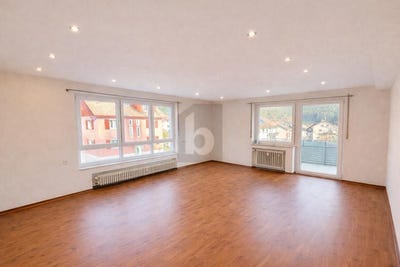/international/de/enzklosterle-baden-wurttemberg-310108480879/