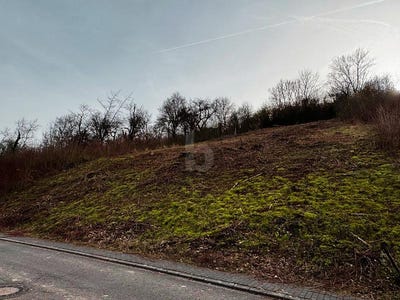 /international/de/welschbillig-rhineland-palatinate-310108371255/