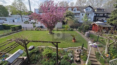 /international/de/mannheim-baden-wurttemberg-310108484424/