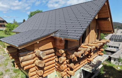 /international/de/feldberg-baden-wurttemberg-310108891644/