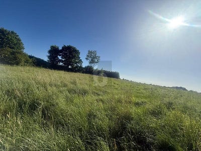 /international/de/riepsdorf-schleswig-holstein-310108589838/