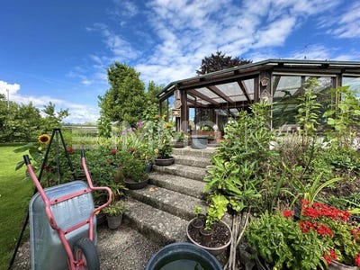 /international/de/adelsdorf-bavaria-310101416544/