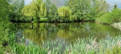 /international/de/am-teich-10-harsum-lower-saxony-120089959143/