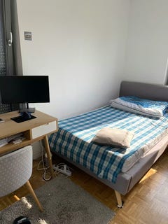 /international/de/felsennelkenanger-munich-bavaria-310106576023/