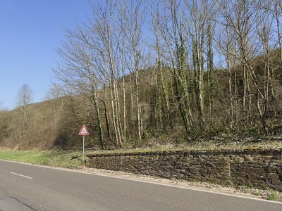 /international/de/bullay-rhineland-palatinate-310108522255/