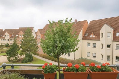 /international/de/muncheberg-brandenburg-310101226588/