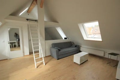 /international/de/riedstrasse-frankfurt-am-main-hesse-310093846735/