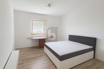 /international/de/mannheim-baden-wurttemberg-310108111095/