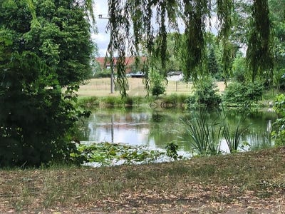 /international/de/dreiheide-saxony-310109238367/?lang=pt