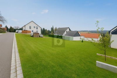 /international/de/dasing-bavaria-310107903858/