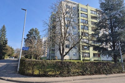 /international/de/radolfzell-am-bodensee-baden-wurttemberg-310108454963/