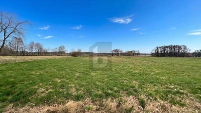 /international/de/wilstedt-lower-saxony-310108260622/