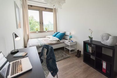 /international/de/fritz-erler-strasse-munich-bavaria-310104890425/
